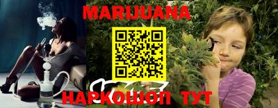 сатива Будённовск